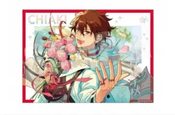 앙스타 모리사와 치아키 스텔라 사진 1