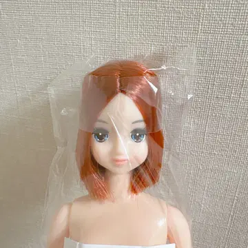리카짱 캐슬 즐거운 인형 로베리아 제니 프렌드 로베리아