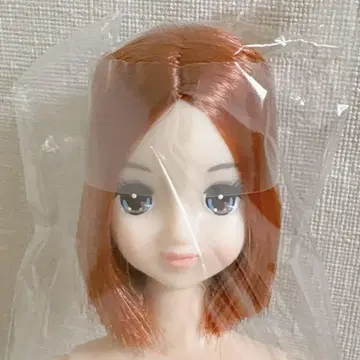 리카짱 캐슬 즐거운 인형 로베리아 제니 프렌드 로베리아