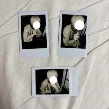 베어드아드 쿠로미야 노아 발렌타인 폴라로이드