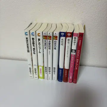 나기사 유우 bl 소설 묶음 판매