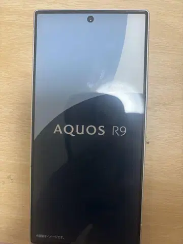 AQUOS R9 스마트폰 LEICA 모형