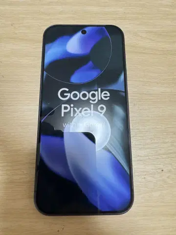 Google Pixel 9 블랙 모형