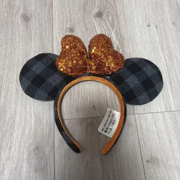 디즈니랜드 시 카츄샤