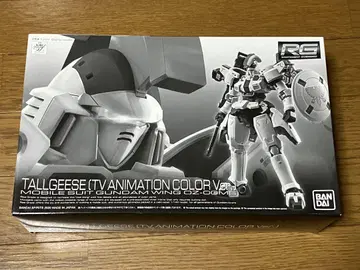 RG 톨기스 (TV ANIMATION COLOR Ver.)