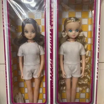 리카짱 캐슬 인형쇼 모델 히나짱 일본제