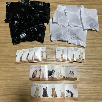 하시모토 미오 고양이 조각 가챠 컴프 세트