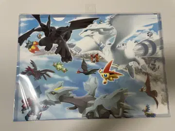 미개봉 포켓몬 클리어 파일 포켓몬들의 모이는 하늘 후쿠오카 한정판