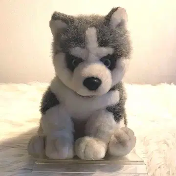 [ 보물 ] TAKARA 시베리안 허스키 강아지 봉제 인형 타카라