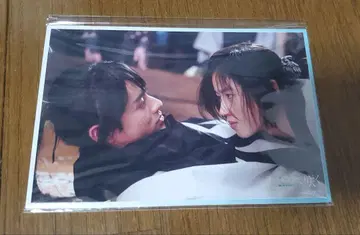 너와 함께 가서 피는 엽서 세트