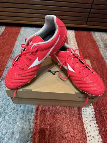 Mizuno 미즈노 모나르시다 24cm