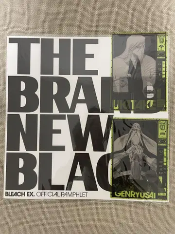 BLEACH EX. 팜플렛 & 74권