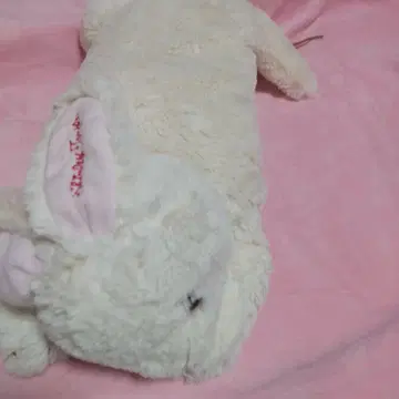 셜리 템플 토끼 봉제 인형