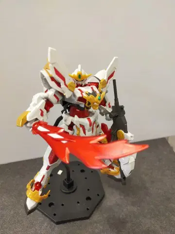 SDBD RX-영환