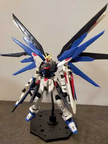 RG 프리덤