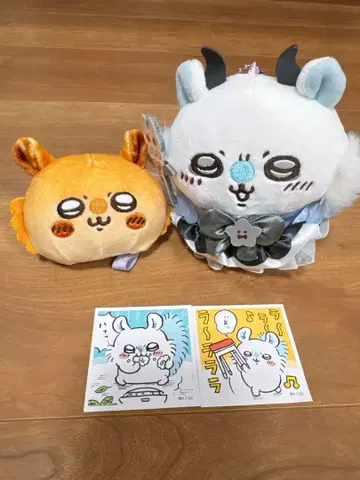 모몽가 세트