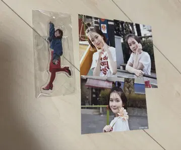 하타 메이 아크릴 스탠드 + 브로마이드