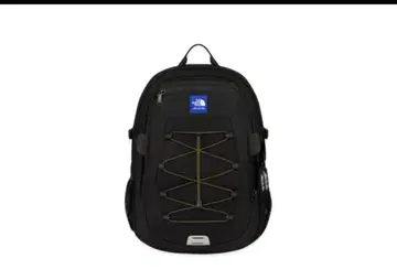 TNF x Aime Leon Dore Borealis Backpack