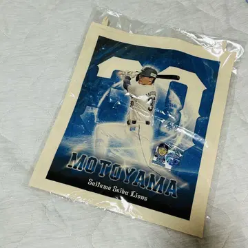 모토야마 히유 패브릭 포스터