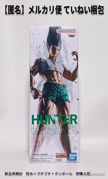 헌터x헌터 HUNTERxHUNTER 피그라이프 곤