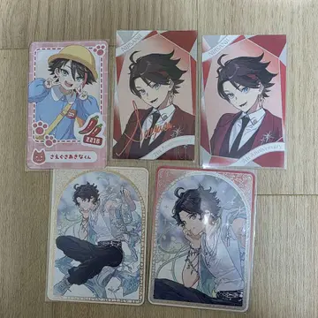 사에구사 아키나 트레이딩 카드 5장 세트