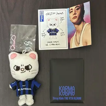 StrayKids 스키즈 KARMA SKZOOver 현진 지니레트