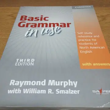 basic grammar in use with answers