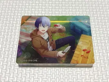 프로젝트 세카이 프로세카 노블 아트 컬렉션 29 아오야기 토우야