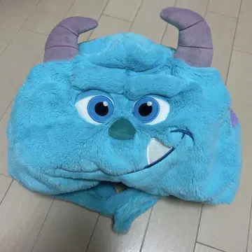 샐리 팬캡