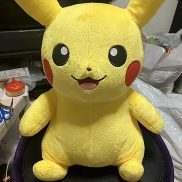 포켓몬스터 피카츄 봉제 인형