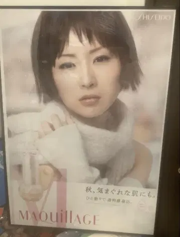 [ 귀중 ] 시이나 링고 마키아쥬 전 4종류 포스터 새상품급