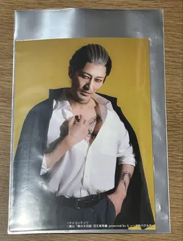버그스테 깃털 왕 전쟁 후편 리피터 특전 브로마이드 오오타케