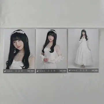 보도교 이케다 에이사 컴프