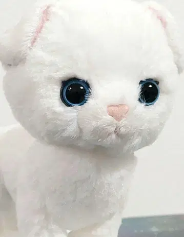 선레몬 키튼 봉제 인형 스코티시 폴드