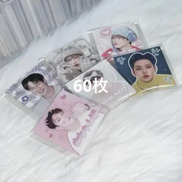 60장 straykids 스키즈 돔송 방찬