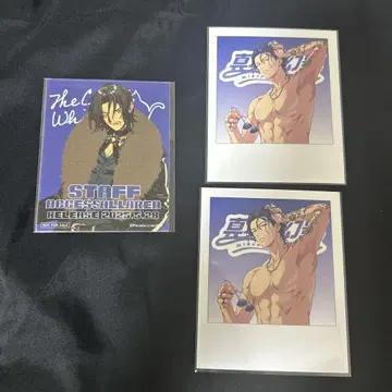 파라라이 신바야시 쿄헤이