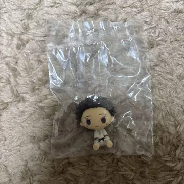 제일복권 귀멸의 칼날 번개의 형제 D상 쵸코놋코 피규어 하쿠지