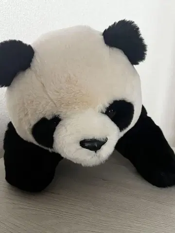 우에노 동물원 팬더 봉제 인형