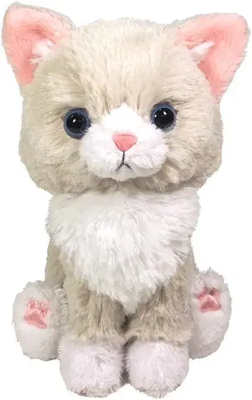 새상품 (주)산레몬 Kitten 키튼 봉제 인형 랙돌 정품