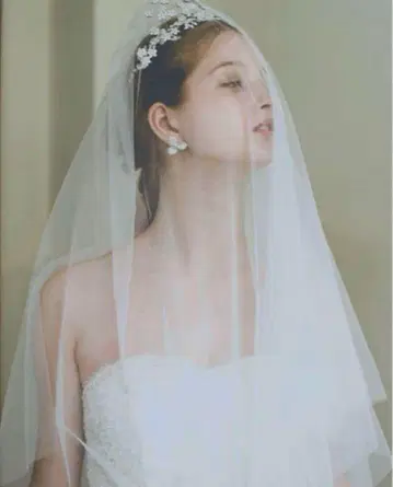 안테리베 웨딩 베일