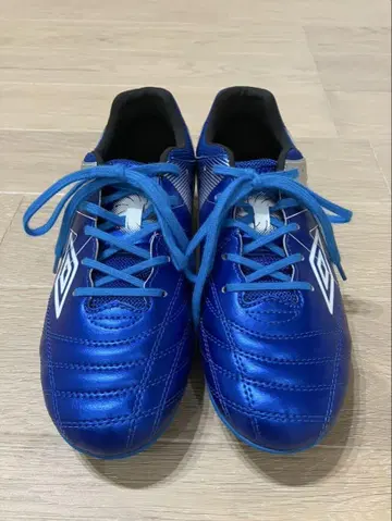 Umbro Accelerator 축구화 파랑