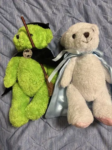 극단 사계 위키드 베어 봉제 인형 글린다 엘파바