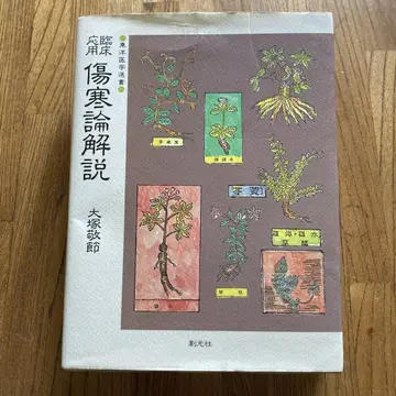 상한론 해설 오쓰카 게이세쓰 저
