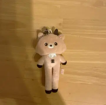 성찬 우라쿠밤 RIIZE PARK POPUP 발길이 키링