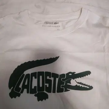 LACOSTE 화이트 T셔츠 S