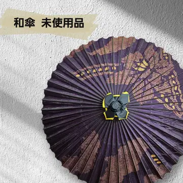 순수 실크  뱀눈 이중 깃털 우산