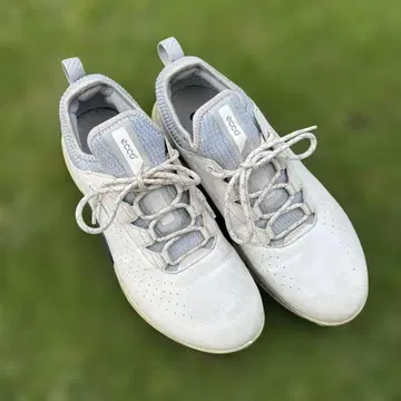 ecco 골프화 화이트/그레이