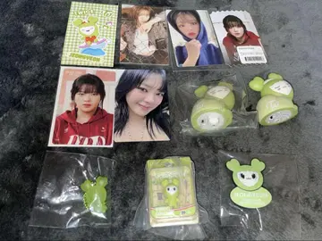 TWICE 정연 정블리(정현) 공식 묶음 판매 낱개 판매 가능