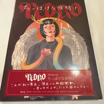 하찮은 새벽