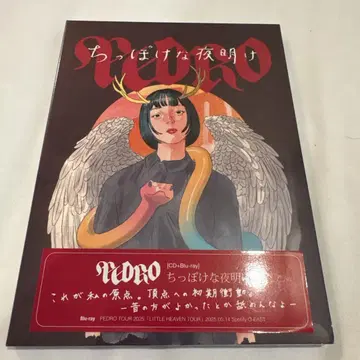 하찮은 새벽